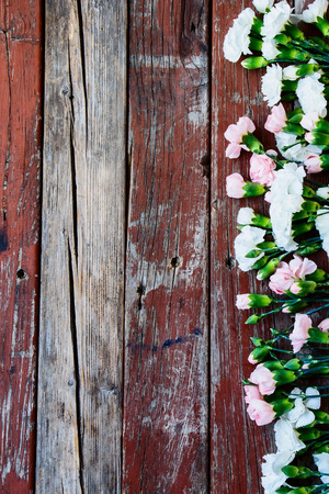 Top view of colorful flowers on rustic wooden background.の写真素材