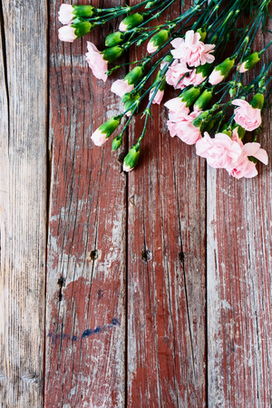 Spring pink flowers on rustic wooden background. Top view.の写真素材