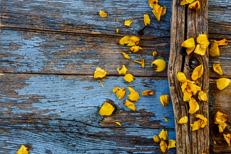 Summer yellow flowers on vintage wooden background with copy space. Top view.の写真素材