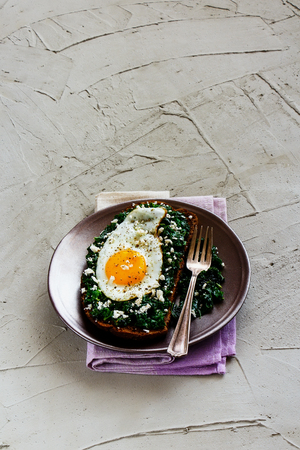 Plate of fried egg sandwich with rye bread, kale and feta cheese on concrete background side view. Healthy eating, slimming, diet lifestyle concept. Vegetarian breakfastの写真素材