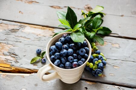 Delicious freshly picked blueberries with green leaves close upの写真素材