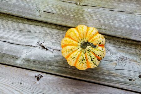 Autumn pumpkin on wooden tableの写真素材