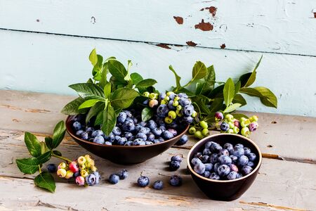 Freshly picked blueberries with green leaves on wooden background.の写真素材
