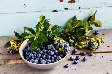 Freshly picked blueberries with green leaves in bowlの写真素材
