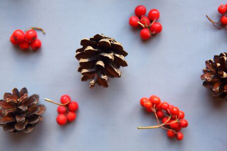 Pine cones and rowan berries on grey background as a textureの写真素材