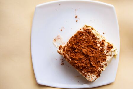 vanilla ice cream with cocoa powder on white plateの写真素材