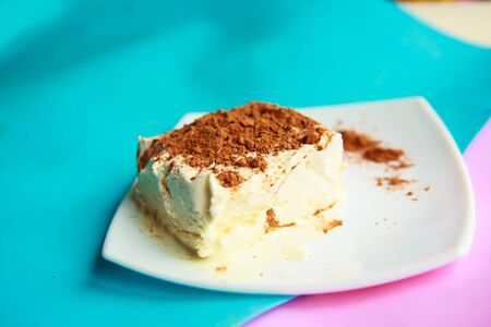 vanilla ice cream with cocoa powder on white plateの写真素材
