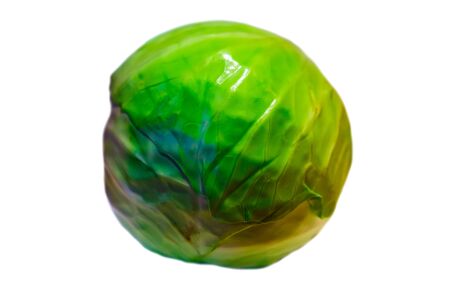 Cabbage head isolated on whiteの写真素材