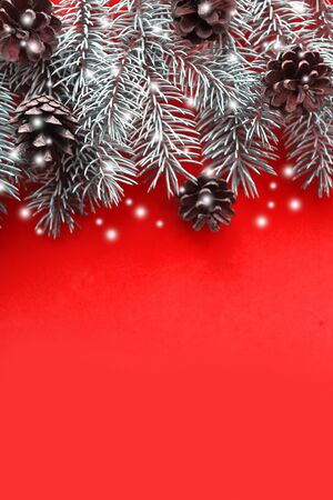 Snow spruce branches with cones on red background. Flat lay, top view, copy space. Verticalの写真素材