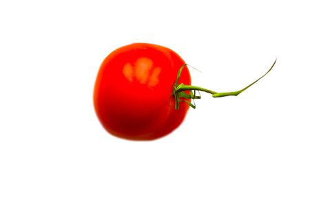 Fresh red tomato isolated on whiteの写真素材