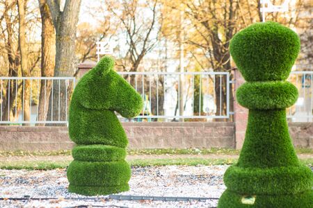 chess figures covered with grassの写真素材