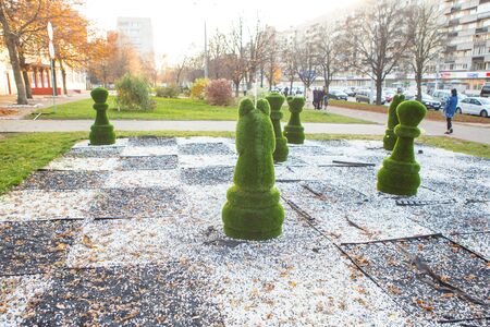 chess figures covered with grassの写真素材