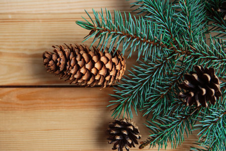Natural spruce branches with cones on wooden background.