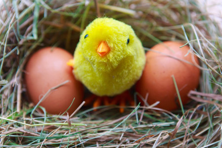 Raw eggs and toy chicken in hay nest. Easter concept