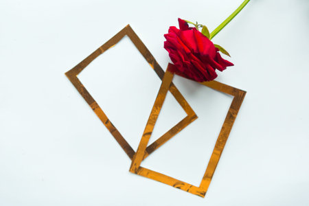 Love composition - red rose and golden frames on white background. Valentines Day or Wedding...