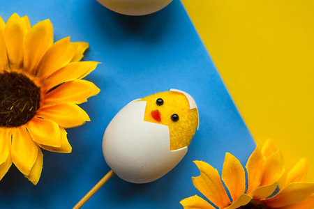 Toy chicken in a shell on geometrinc blue and yellow background. Minial Easter concept
