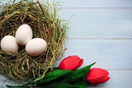 chicken eggs in the nest and red tulips on wooden table, Easter concept