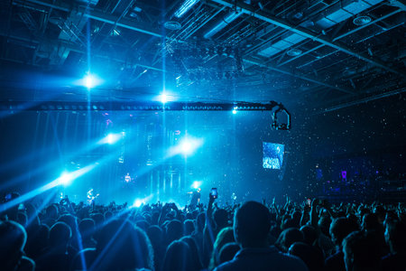 Crowd of people at the concert