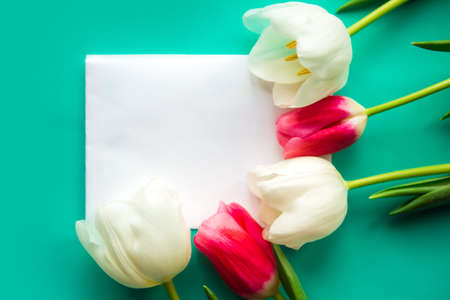 Mother's Day mockup greeting card with red and white tulips.の写真素材