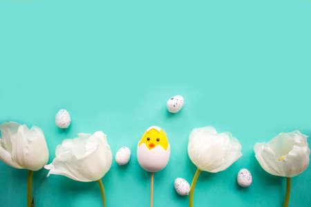 White tulips and toy chicken in shell on green background. Easter greeting cardの写真素材