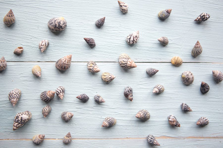 Seashells pattern on blue wooden background