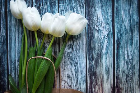 White tulips on blue wooden background. Flat lay, top view, copy spaceの写真素材