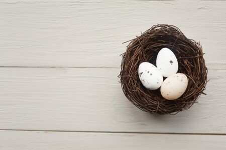 Quail eggs in the nest, top view. Easter conceptの写真素材