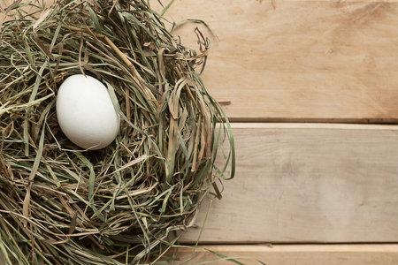 Chicken egg in hay nest, top view. Easter concept