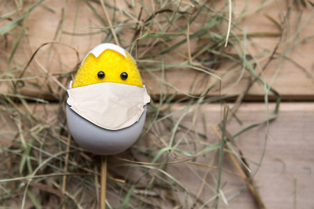 Toy chicken in medical mask in the nest. Covid19 concept. Easter 2020 concept