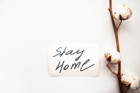 Cotton bunch and card with message Stay Home on white background. Quarantine conceptの写真素材