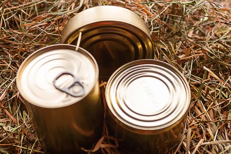 canned meat packs as a quarantine stock on dry straw backgroundの写真素材