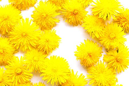 Spring nature background. Beautiful bright yellow dandelions on yellow background flat lay top view. Springtime concept, flowers composition. Flower pattern. Copy space for the textの写真素材