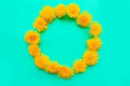 Round frame of fresh yellow dandelions on bright green background. Copy space for the textの写真素材