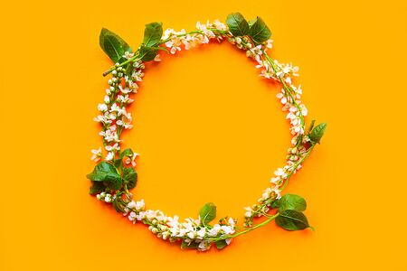Round frame of beautiful blooming spring branches on bright orange background. Springtime conceptの写真素材
