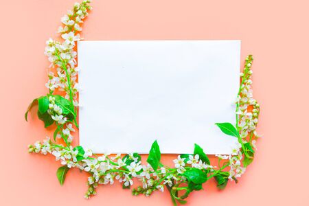 Springtime concept. White mockup blank and fresh blooming spring flowers on pink background. Copy space for the textの写真素材