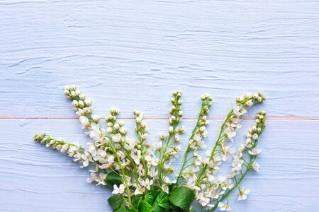 Springtime concept. Branches of blooming sping flowers on wooden background. Copy space for the text の写真素材
