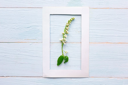 Springtime concept. White photo frame and fresh blooming spring flowers on wooden background. Copy...