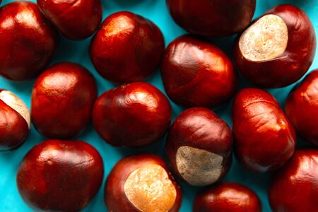 Fresh chestnuts on blue background. Top view. Flat layの写真素材