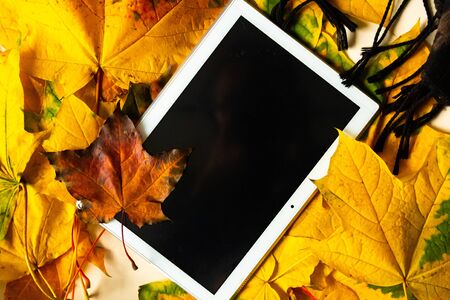Tablet  on autumn foliage background, top view, copy space. Bright fall backgroundの写真素材