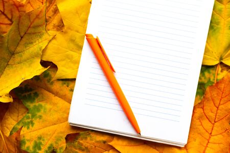 White mockup notebook on autumn foliage background, top viewの写真素材