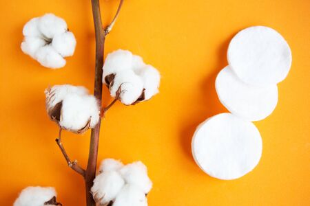 Cotton branch and cotton sponges on orange background, top viewの写真素材