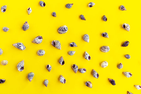 Seashells pattern on bright yellow background, summer vacation concept