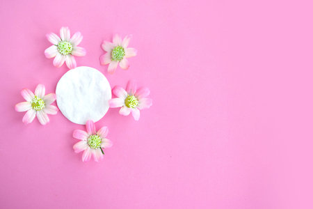Cotton sponges with decorative flowers on pink pastel background, top view, copy space