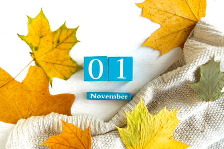 November 1st. Blue cube calendar with month and date on wooden background.の写真素材