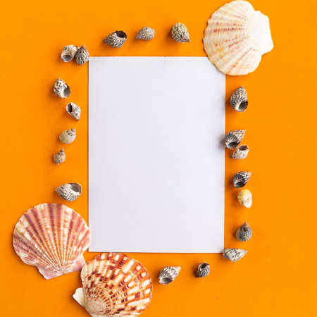 White mockup blank and seashells on orange background, top view. Summer vacation conceptの写真素材