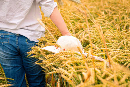 Woman hand touching wheat ears on the field, closeupの写真素材