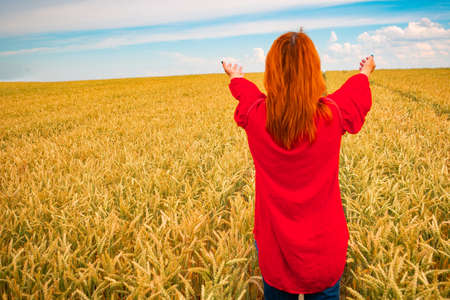 Woman with outstretched arms in a wheat field, bright summer backgroundの写真素材