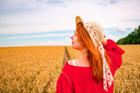 Beautiful ginger girl in wheat field, summer backgroundの写真素材