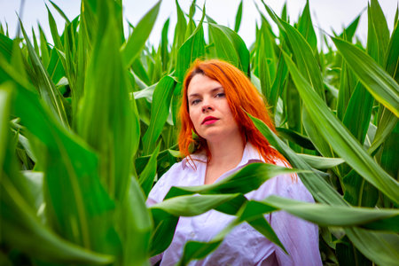 Ginger girl in a white shirt in a cornfield, summer background