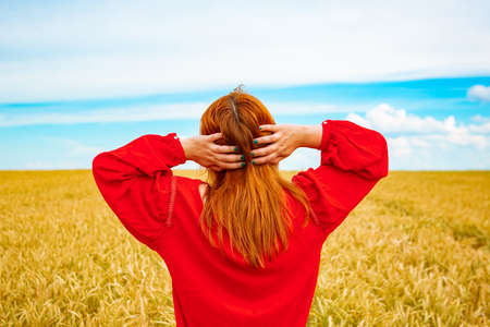 young girl in a wheat field, view from the backの写真素材
